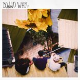 Artwork for "Donno Why"