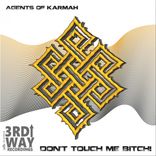 Portada para "Don't Touch Me Bitch"