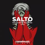 Artwork for "Salto"