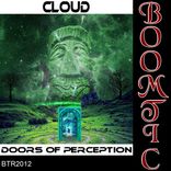 Artwork for "Doors Of Perception"