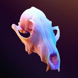 Artwork for "Lucid Dream / Bon Echo"