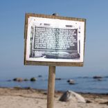 Artwork for "Worshore (Wild Pagan Acid Remix)"