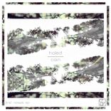 Artwork for "First Noises"