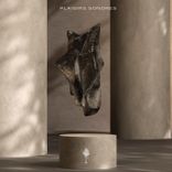 Artwork voor "Voyage"