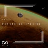 Artwork for "Something Special"