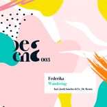 Wandering and Wondering