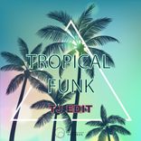 Artwork voor "Tropical Funk"