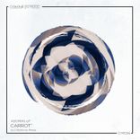 Artwork for "Carrot"