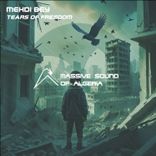 Artwork for "Tears of Freedom"