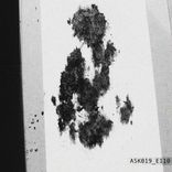 Artwork for "ASK019 EP"