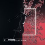 Artwork voor "Love Of My Life"