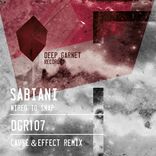 Artwork for "Wired To Snap"