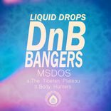 Artwork voor "DnB Bangers, Vol. 2"