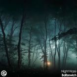 Artwork für "Night Haze"