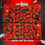 Artwork for "Never Felt so Good"