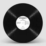 Artwork voor "Fragile Stability"