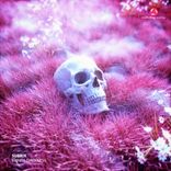 Artwork for "Brings Darkness"