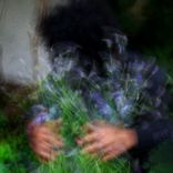 Artwork for "ever had SEX WITH A GHOST? (S.W.A.G)"