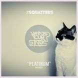 Artwork for "Platinum"