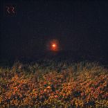 Artwork for "Le vent s’est lui aussi arrêté"