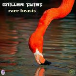 Artwork for "Rare Beasts"