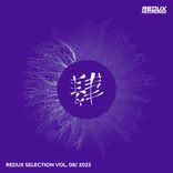 Artwork voor "Redux Selection Vol. 8 / 2023"