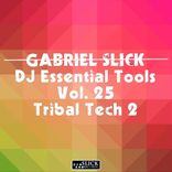 Artwork voor "DJ Essential Tools Vol. 25 - Tribal Tech 2"