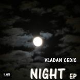 Artwork voor "Night"