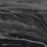 Artwork for "Dying Days Light Behind"