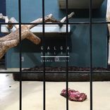 Artwork voor "Sold 1"