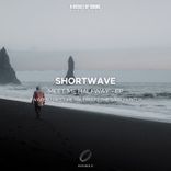 Meet Me Halfway (Extended Mix)