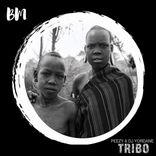 Artwork for "Tribo"