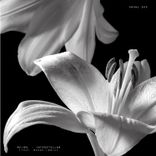 Artwork for "Interstellar"