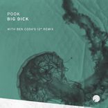 Portada para "Big Dick"