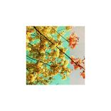 Artwork für "Hung Up"