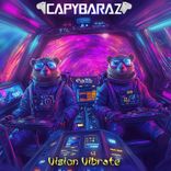 Portada para "Vision Vibrate"