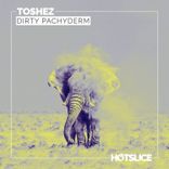 Artwork for "Dirty Pachyderm"