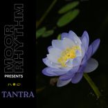 Artwork für "Tantra"