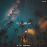 Cause I Need You