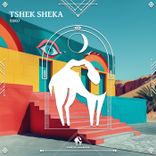 Artwork voor "Tshek Sheka"