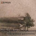 Artwork für "Life Without Pavements"