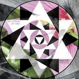 Artwork für "Hey Miss"