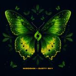 Artwork for "Dusty Sky"