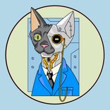 Portada para "Vibra"