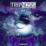 Artwork for "Penguins Look Fat"