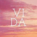Artwork for "Vida"