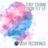Artwork voor "Snow Fly EP"