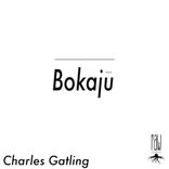 Artwork for "Bokaju"