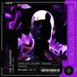 Portada para "The Awakening (Original Mix)"