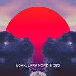 Artwork voor "Love or Lust"